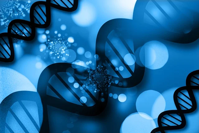 特種新癸酸鉛/27253-28-7，適用于各類聚氨酯體系，提供可控的凝膠和發泡反應平衡